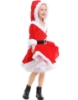 Picture of Little Miss Santa Girls Christmas Costume