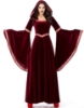 Picture of Womens Medieval Gothic Renaissance Burgundy Gown Costume