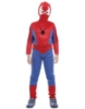 Picture of Boys Superhero Spiderman Costume