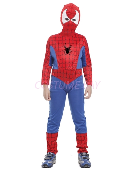 Picture of Boys Superhero Spiderman Costume