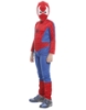 Picture of Boys Superhero Spiderman Costume