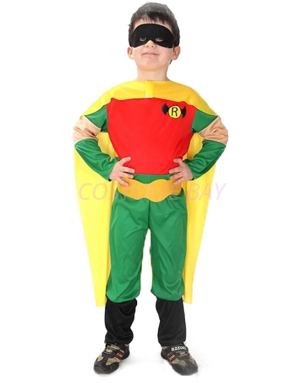 Picture of Boys Superhero Robin Costume