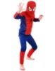 Picture of Boys Superhero Spiderman Costume -Red