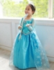 Picture of Frozen Princess Elsa Dress