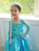 Picture of Frozen Princess Elsa Dress