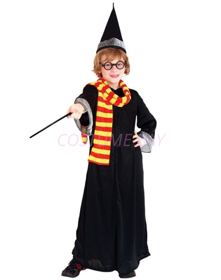 Picture of Boys Superhero Harry Potter Costume