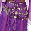 Picture of Belly Dance Hip Scarf Wrap Belt Tribal 128 Coins