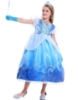 Picture of Kids Girls Cinderella Blue Dress Birthday Party Princess Cosplay Costume