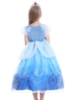 Picture of Kids Girls Cinderella Blue Dress Birthday Party Princess Cosplay Costume