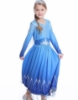 Picture of Frozen 2 Princess Elsa Dress Costume BOOK WEEK