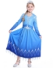 Picture of Frozen 2 Princess Elsa Dress Costume BOOK WEEK