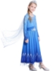 Picture of Frozen 2 Princess Elsa Dress Costume BOOK WEEK