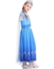 Picture of Frozen 2 Princess Elsa Dress Costume BOOK WEEK