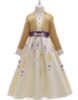 Picture of Frozen 2 Princess Elsa Anna Dress Costume