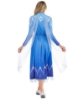 Picture of Adult Ladies Deluxe Frozen 2 Princess Elsa Costume Dress