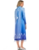 Picture of Adult Ladies Deluxe Frozen 2 Princess Elsa Costume Dress