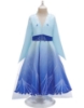 Picture of Frozen 2 Elsa Princess Costume for BOOK WEEK