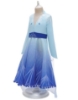 Picture of Frozen 2 Elsa Princess Costume for BOOK WEEK