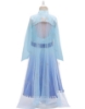 Picture of Frozen 2 Elsa Princess Costume for BOOK WEEK