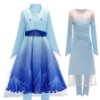 Picture of Frozen 2 Elsa Princess Costume for BOOK WEEK