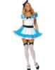 Picture of Womens Alice in Wonderland Fancy Dress Costume