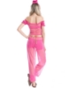 Picture of Womens  Aladdin Belly Dance Fancy Dress -Pink