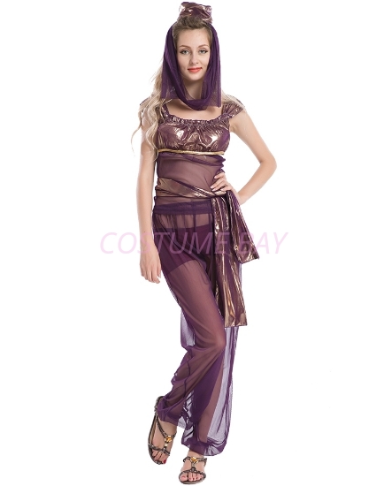 Picture of Womens  Aladdin Belly Dance Fancy Dress-Purple