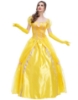 Picture of Ladies Beauty and the Beast Princess Belle Dress Costume