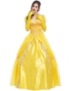 Picture of Ladies Beauty and the Beast Princess Belle Dress Costume