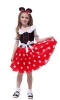 Picture of Girls Minnie Mouse Polka dots Party Tutu Princess Dress Book Week