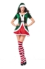 Picture of XMAS Miss Santa Costume