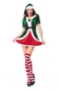 Picture of XMAS Miss Santa Costume