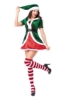 Picture of XMAS Miss Santa Costume