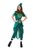 Picture of Women St Patrick Costume