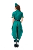 Picture of Women St Patrick Costume