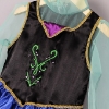 Picture of Frozen Princess Anna Costume Dress