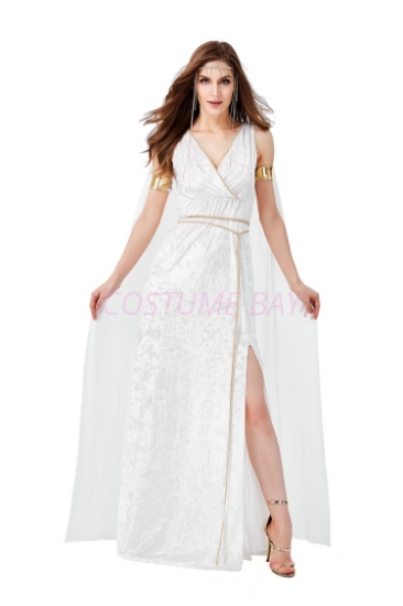 Picture of Greek Goddess costume