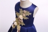 Picture of Girls Flower dress - Champagne