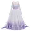 Picture of Frozen2 Elsa Dress  - Purple