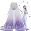 Picture of Frozen2 Elsa Dress  - Purple
