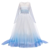 Picture of Frozen2 Elsa Dress  - Purple