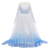 Picture of Frozen2 Elsa Dress 26 - Blue