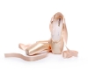 Picture of Deluxe Pink Ballet Dancing Shoes with optional Silica Toe Pads