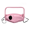 Picture of Mask With Filter Eye Shield 009