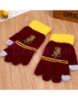 Picture of Harry Potter Glove