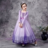 Picture of Frozen2 Elsa Purple Dress for BOOK WEEK