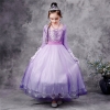 Picture of Frozen2 Elsa Purple Dress for BOOK WEEK