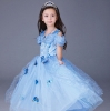 Picture of Girls Princess Cinderella Dress Costume Book Week