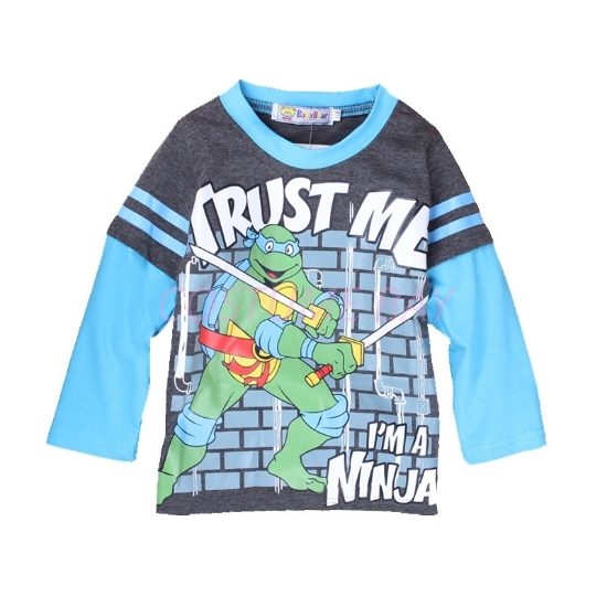 Picture of Boys Grey Ninja Turtle T-Shirt with Blue Long Sleeves