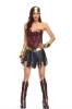 Picture of Deluxe Superhero Wonder Women Dress Costume